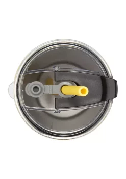 Cambridge Silversmiths 24 Ounce Lemon Slice Insulated Straw Tumbler -Erica Lyons Shop Belk 365