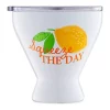 Cambridge Silversmiths 11 Ounce Squeeze the Day Insulated Cocktail Tumbler -Erica Lyons Shop Belk 558