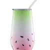 Cambridge Silversmiths 16 Ounce Multi-Color Fruit Insulated Straw Tumbler -Erica Lyons Shop Belk 590